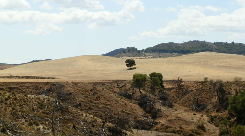 Jaén - Jódar - 2500000m2