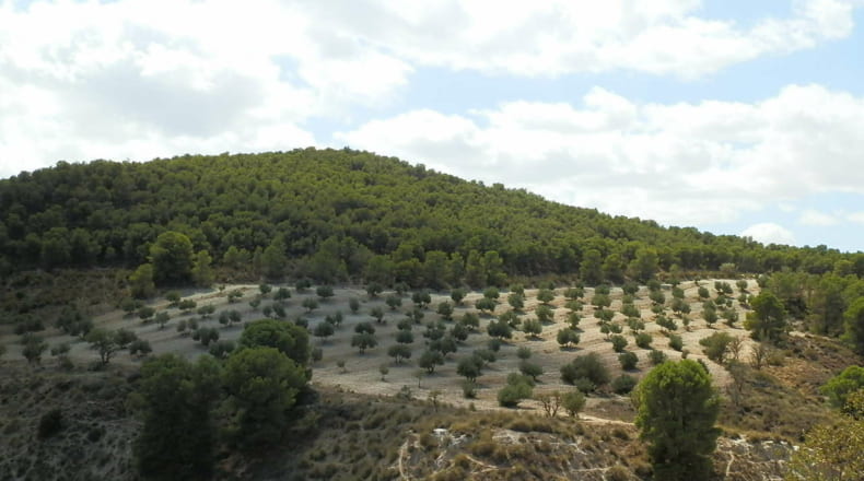Jaén - Jódar - 2500000m2
