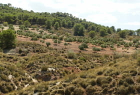 Foto 19