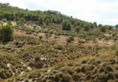 Terreny amb magatzem en venda a la Calle Málaga, Jódar, ref.: TR7695 foto