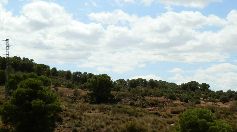 Jaén - Jódar - 2500000m2