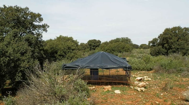 Albacete - Munera - 2950000m2