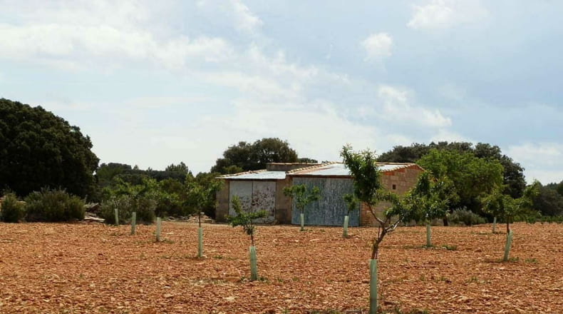 Albacete - Munera - 2950000m2