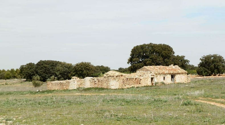 Albacete - Munera - 2950000m2
