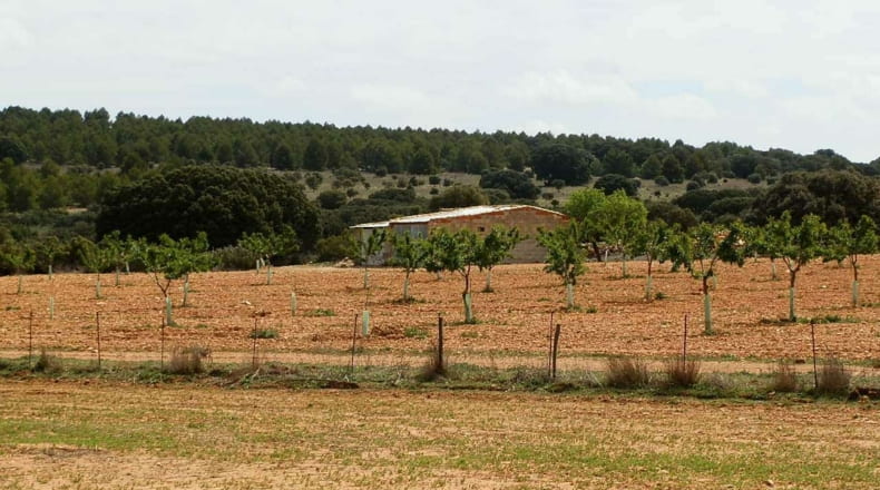Albacete - Munera - 2950000m2