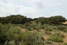 Foto 15