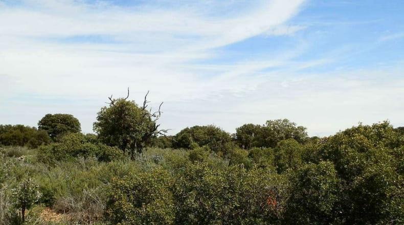 Albacete - Munera - 2950000m2