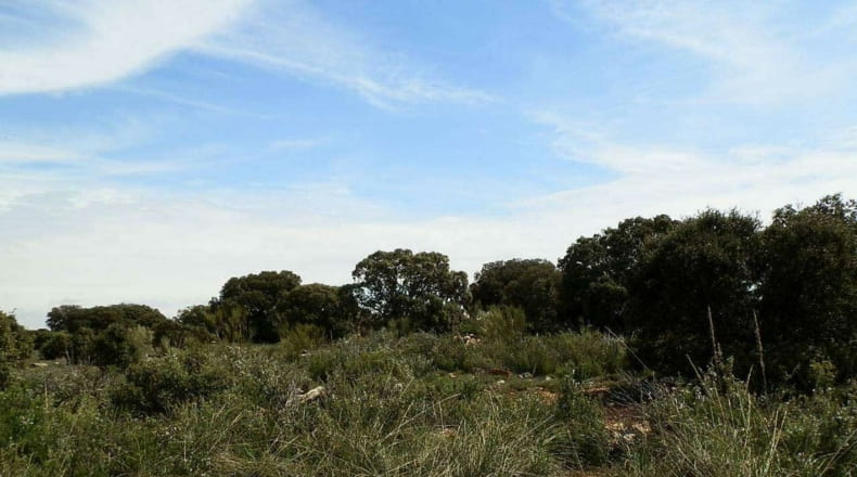 Albacete - Munera - 2950000m2