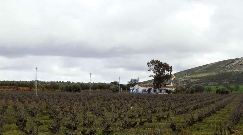 Ciudad Real - Valdepeñas - 240000m2