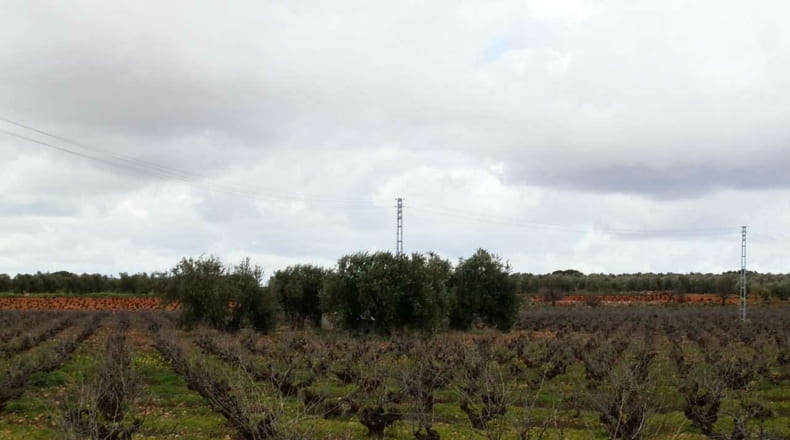 Ciudad Real - Valdepeñas - 240000m2
