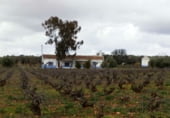Casa de camp amb terreny en venda a la Calle Juan Alcaide, Valdepeñas, ref.: TR7681 foto