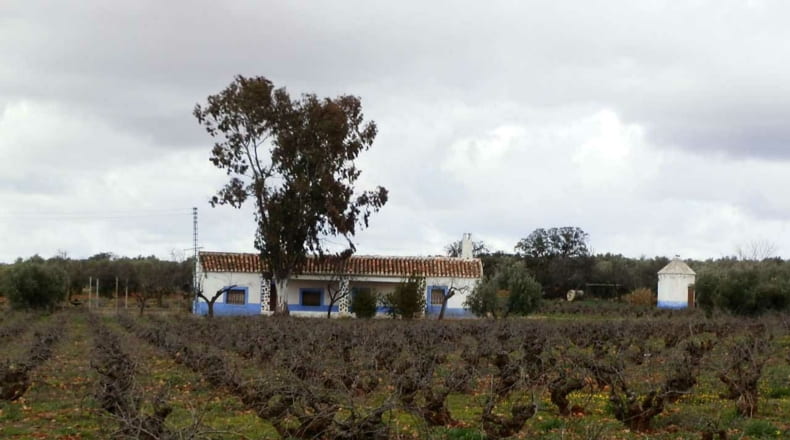 Ciudad Real - Valdepeñas - 240000m2