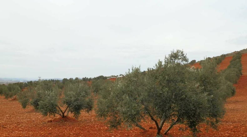 Ciudad Real - Valdepeñas - 380000m2
