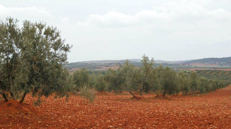 Ciudad Real - Valdepeñas - 380000m2
