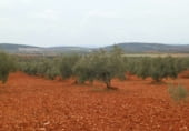 Участок с хранилищем на продажу в городе Вальдепеньяс Фото