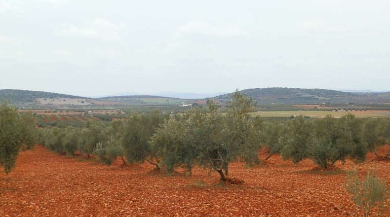 Ciudad Real - Valdepeñas - 380000m2