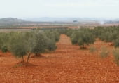 Участок с хранилищем на продажу в городе Вальдепеньяс Фото