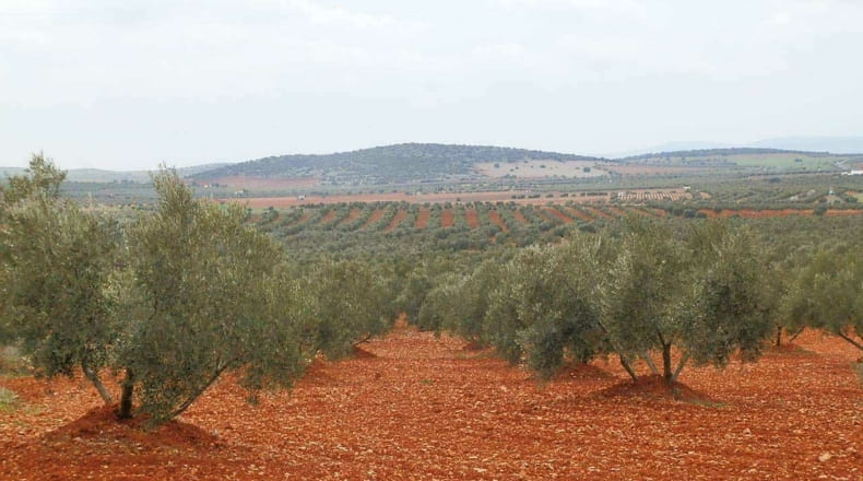 Ciudad Real - Valdepeñas - 380000m2