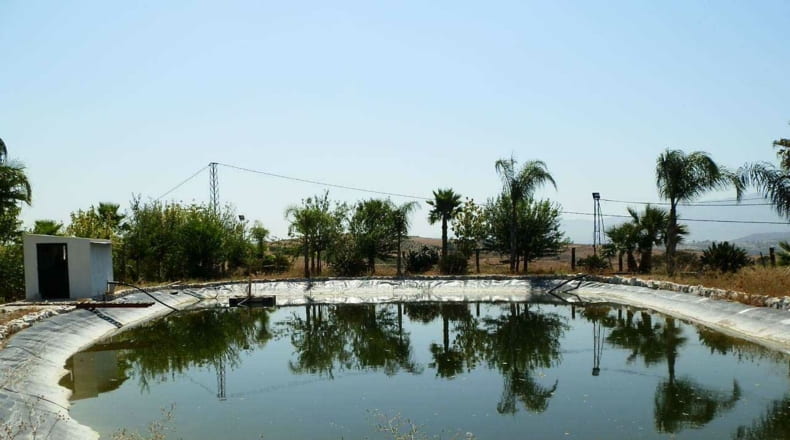 Málaga - Málaga - 60000m2
