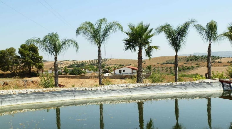 Málaga - Málaga - 60000m2
