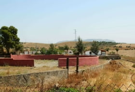 Foto 7