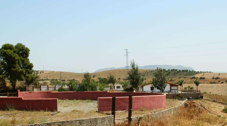 Málaga - Málaga - 60000m2