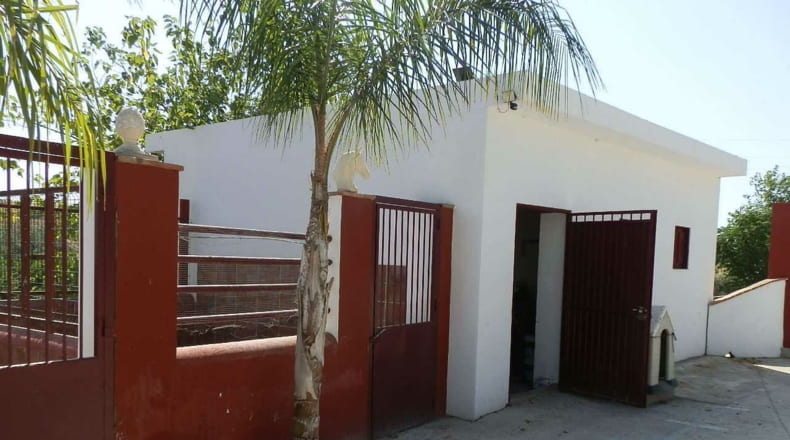 Málaga - Málaga - 60000m2