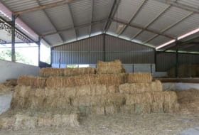 Foto 11