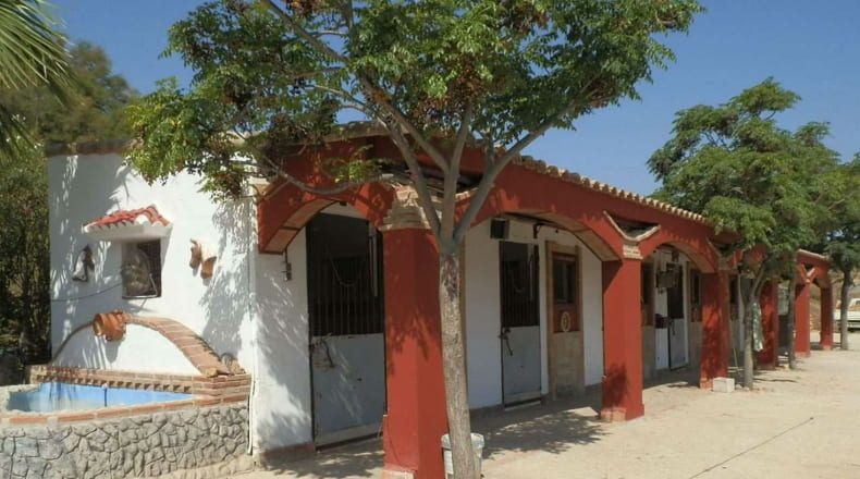 Málaga - Málaga - 60000m2