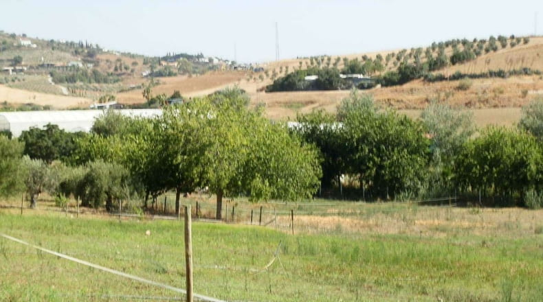 Málaga - Málaga - 60000m2