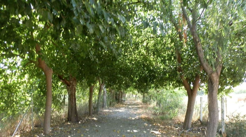 Málaga - Málaga - 60000m2