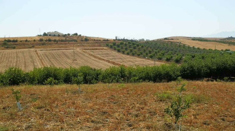 Málaga - Málaga - 60000m2