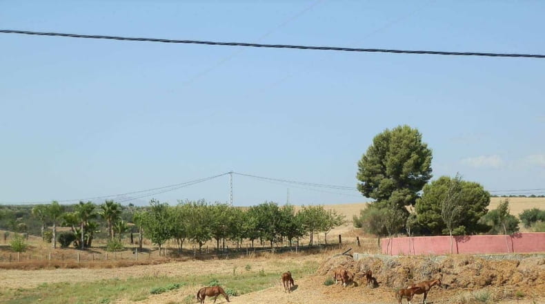 Málaga - Málaga - 60000m2