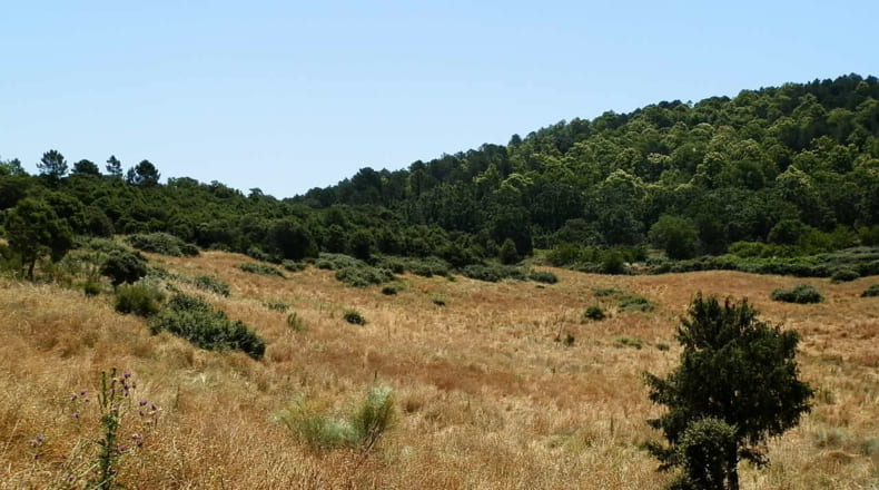 Toledo - El Real de San Vicente - 160000m2
