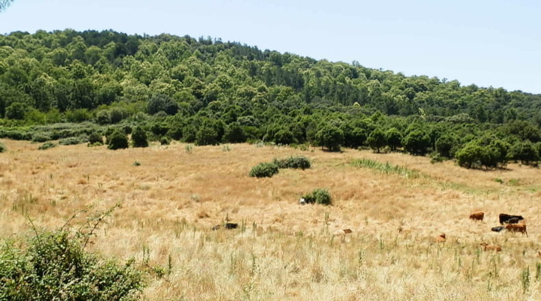Toledo - El Real de San Vicente - 160000m2