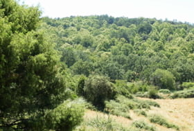 Foto 11