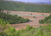 Non-developable land for sale on Utiel, ref: TR7662 photo