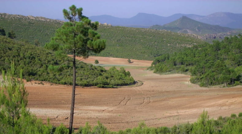 Valencia - Utiel - 20600000m2