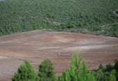 Non-developable land for sale on Utiel, ref: TR7662 photo