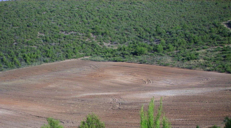 Valencia - Utiel - 20600000m2
