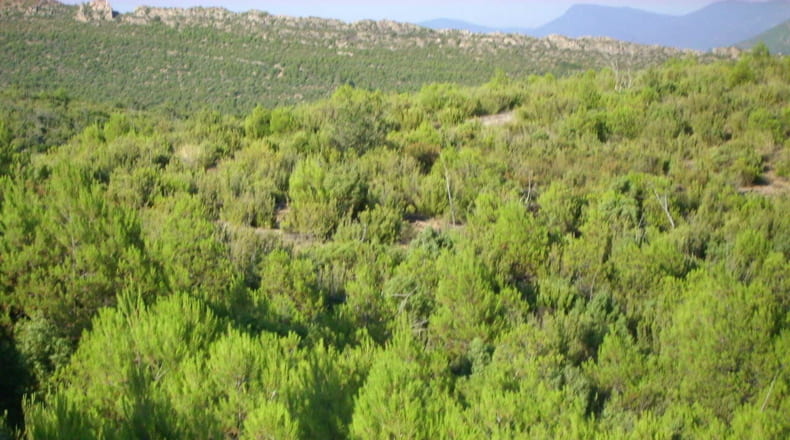 Valencia - Utiel - 20600000m2