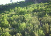 Non-developable land for sale on Utiel, ref: TR7662 photo