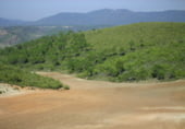 Non-developable land for sale on Utiel, ref: TR7662 photo
