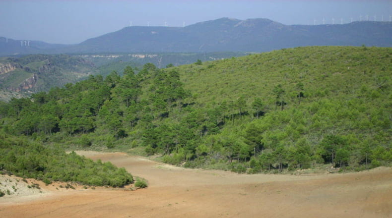 Valencia - Utiel - 20600000m2