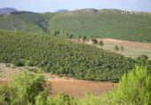 Non-developable land for sale on Utiel, ref: TR7662 photo