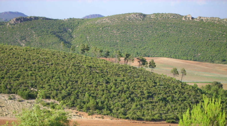 Valencia - Utiel - 20600000m2