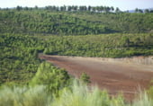 Non-developable land for sale on Utiel, ref: TR7662 photo
