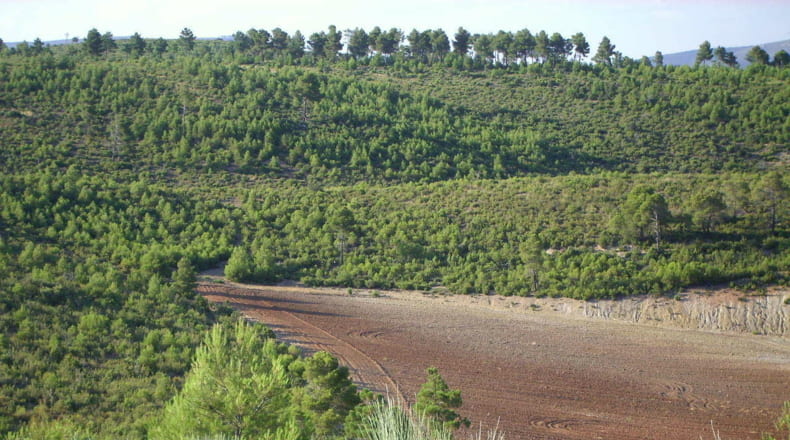 Valencia - Utiel - 20600000m2