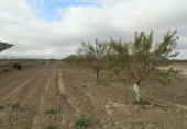 Terreno no urbanizable en venta en la Tomelloso, ref: TR7660 foto