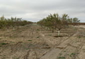Terreno no urbanizable en venta en la Tomelloso, ref: TR7660 foto